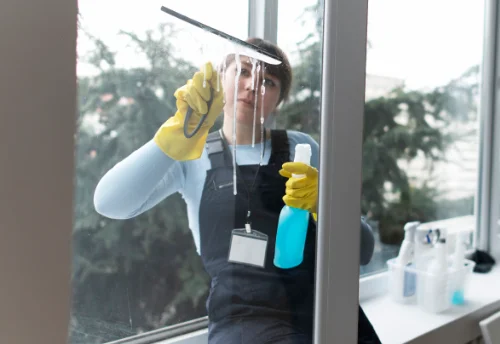 Nettoyage de vitres intérieures et extérieures à Ambierle